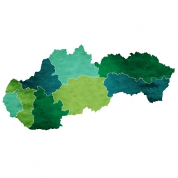  Magnetic map of Slovakia, illustrated, green