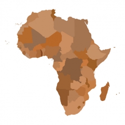  Magnetic map of Africa, illustrated, brown