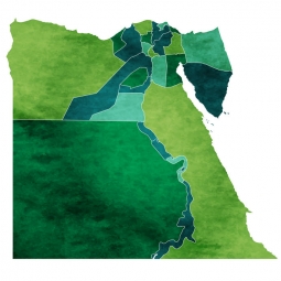  Magnetic map of Egypt, illustrated, green
