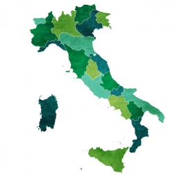  Magnetic map of Italy, illustrated, green