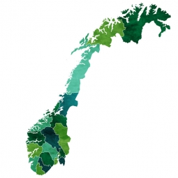  Magnetic map of Norway, illustrated, green