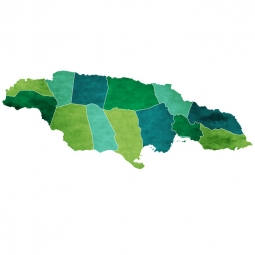  Magnetic map of Jamaica, illustrated, green