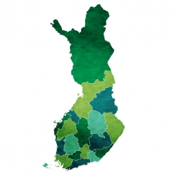  Magnetic map of Finland, illustrated, green