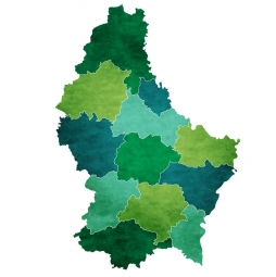  Magnetic map of Luxembourg, illustrated, green