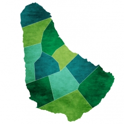  Magnetic map of Barbados, illustrated, green