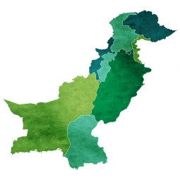  Magnetic map of Pakistan, illustrated, green