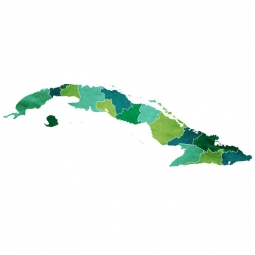  Magnetic map of Cuba, illustrated, green