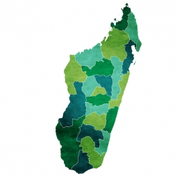  Magnetic map of Madagascar, illustrated, green