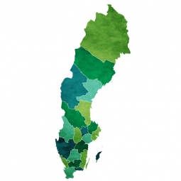  Magnetic map of Sweden, illustrated, green