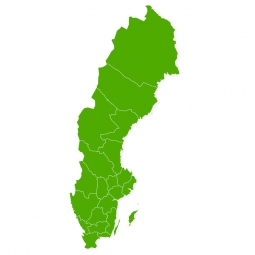 Magnetic map of Sweden, illustrated, green