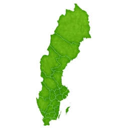  Magnetic map of Sweden, illustrated, green