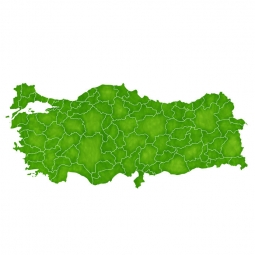  Magnetic map of Turkey, illustrated, green