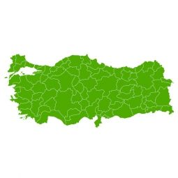  Magnetic map of Turkey, illustrated, green