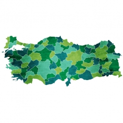  Magnetic map of Turkey, illustrated, green