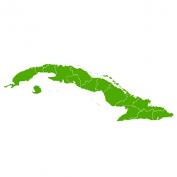  Magnetic map of Cuba, illustrated, green