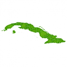  Magnetic map of Cuba, illustrated, green