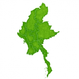  Magnetic map of Myanmar, illustrated, green