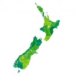  Magnetic map of New Zealand, illustrated, green