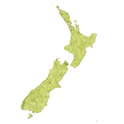  Magnetic map of New Zealand, illustrated, green-yellow