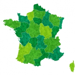  Magnetic map of France, illustrated, green-yellow