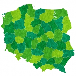  Magnetic map of Poland, illustrated, green-yellow