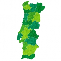  Magnetic map of Portugal, illustrated, green-yellow