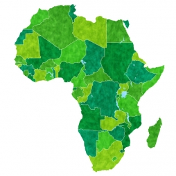  Magnetic map of Africa, illustrated, green-yellow