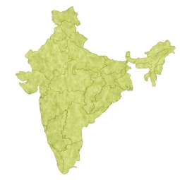  Magnetic map of India, illustrated, green