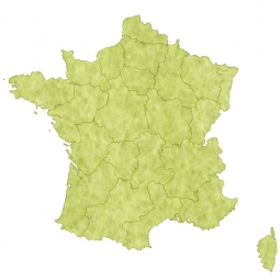 Magnetic map of France, illustrated, green