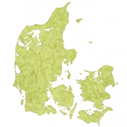  Magnetic map of Denmark, illustrated, green