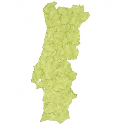  Magnetic map of Portugal, illustrated, green