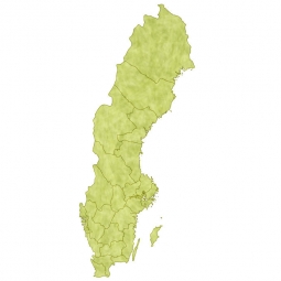  Magnetic map of Sweden, illustrated, green