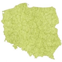  Magnetic map of Poland, illustrated, green