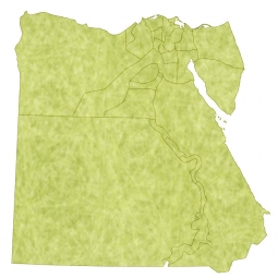  Magnetic map of Egypt, illustrated, green