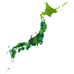  Magnetic map of Japan, illustrated, green-yellow