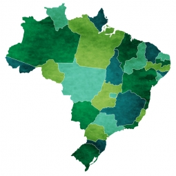  Magnetic map of Brazil, illustrated, green-blue