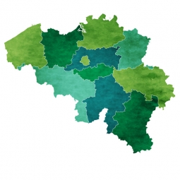  Magnetic map of Belgium, illustrated, green-blue