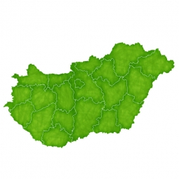  Magnetic map of Hungary, illustrated, green