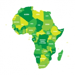  Magnetic map of Africa, illustrated, green-yellow