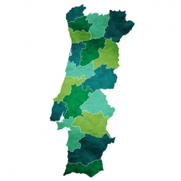  Magnetic map of Portugal, illustrated, green-blue