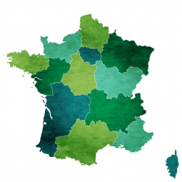  Magnetic map of France, illustrated, green-blue