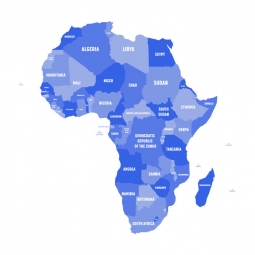  Magnetic map of Africa, illustrated, blue