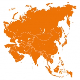  Magnetic map of Asia, illustrated, Orange