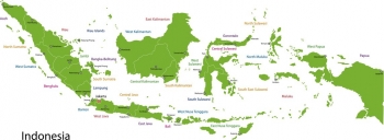  Magnetic map of Indonesia, political, green