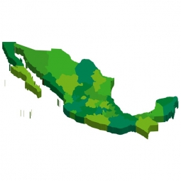  Magnetic map of Mexico, illustrated, green