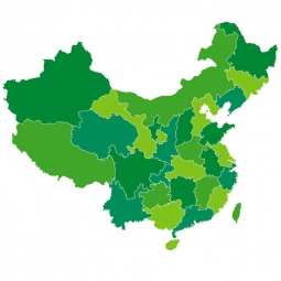  Magnetic map of China, illustrated, green