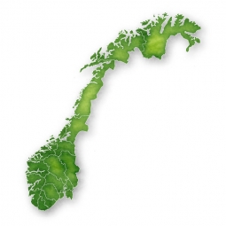  Magnetic map of Norway, illustrated, green
