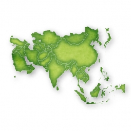  Magnetic map of Asia, illustrated, green