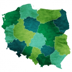  Magnetic map of Poland, illustrated, green