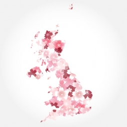  Magnetic map of England, illustrated, pink